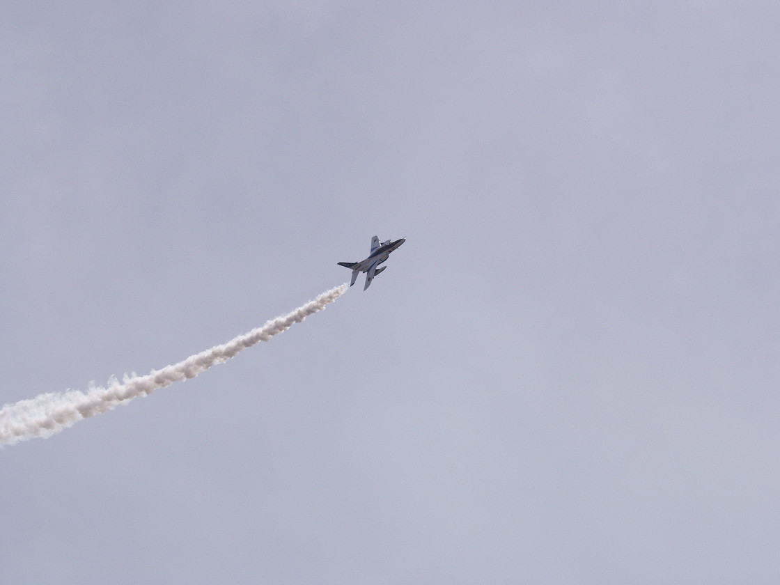P4138767.jpg