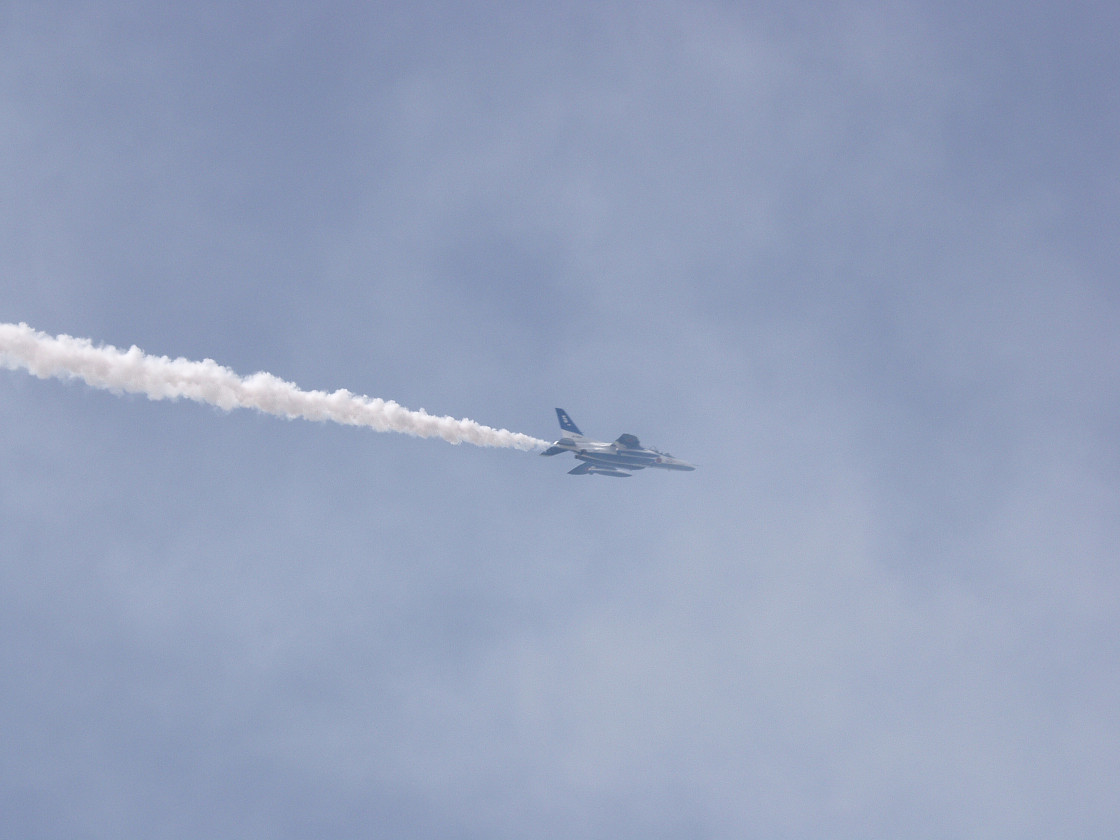 P4138768.jpg