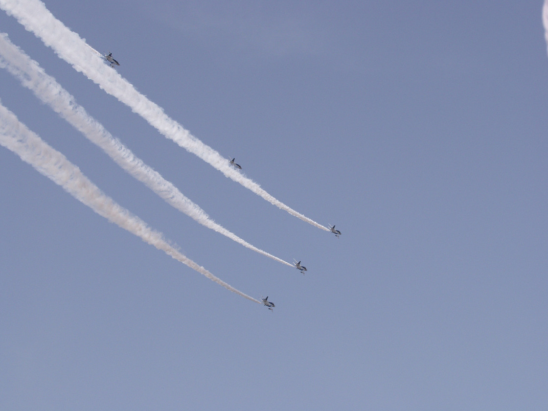 P4138774.jpg