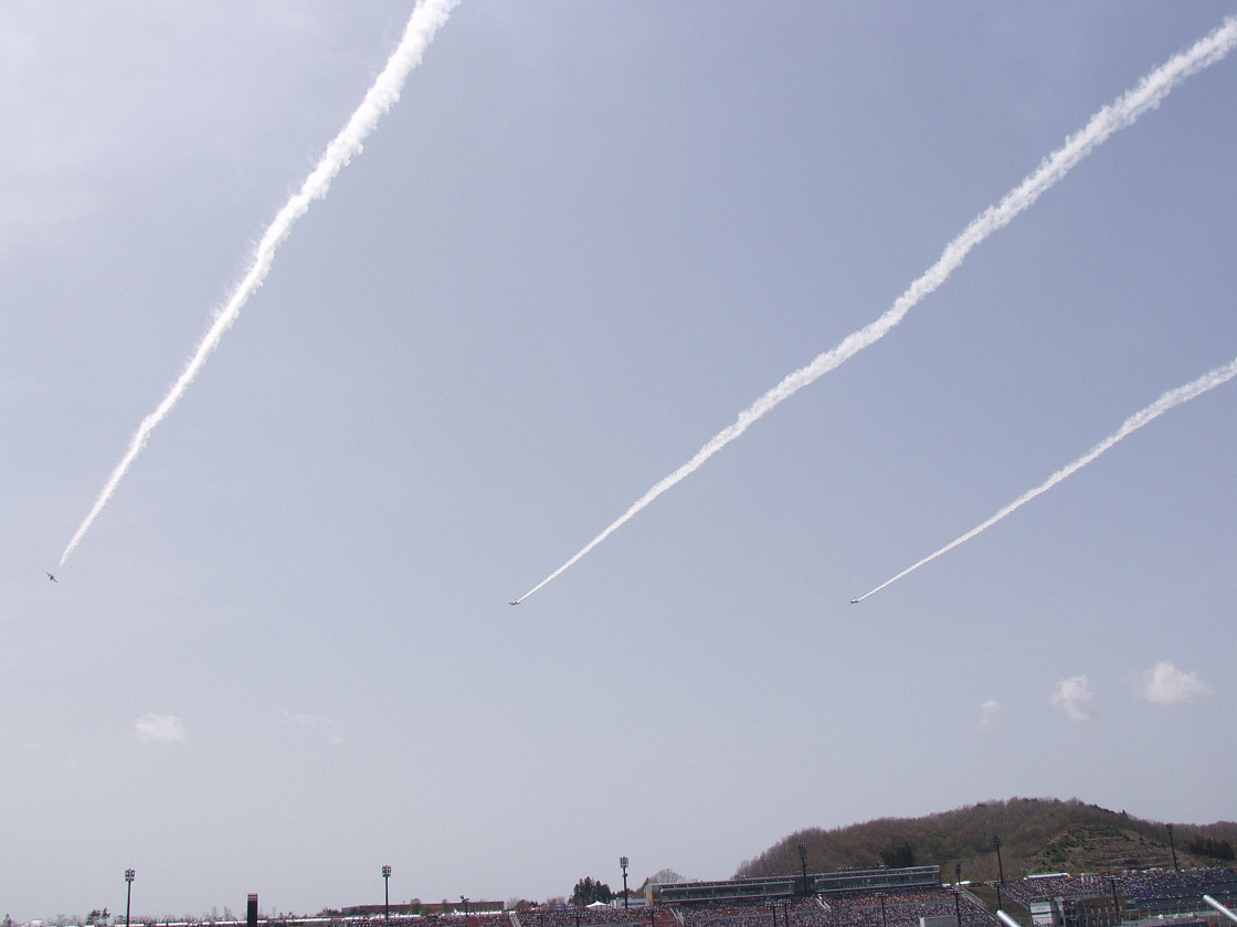 P4138776.jpg