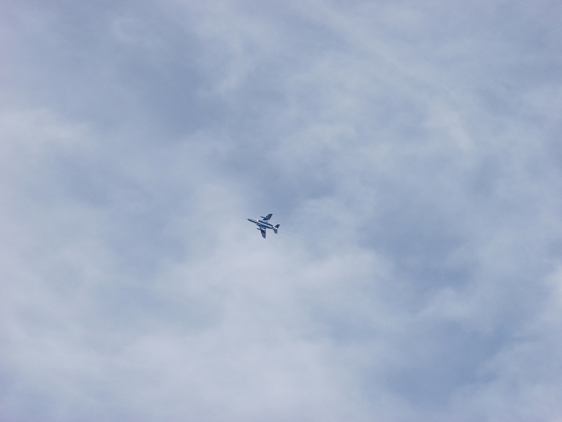 P4220207.jpg