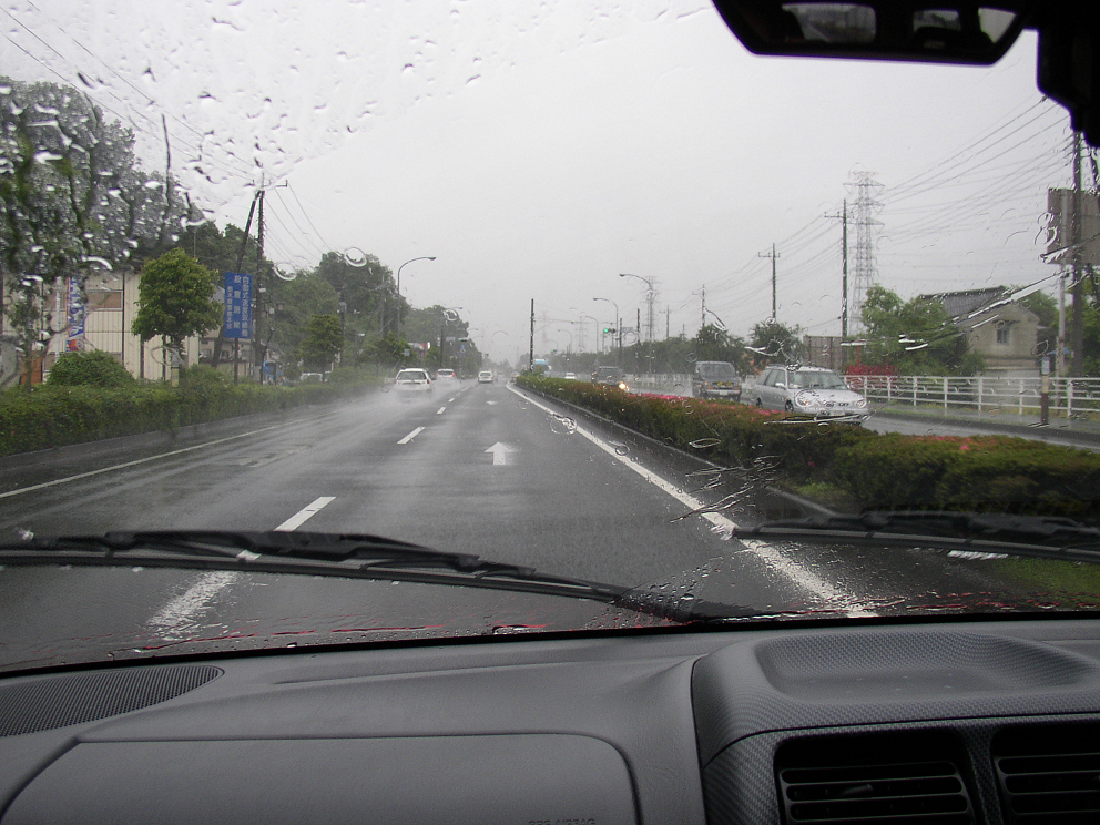 P6160010.jpg