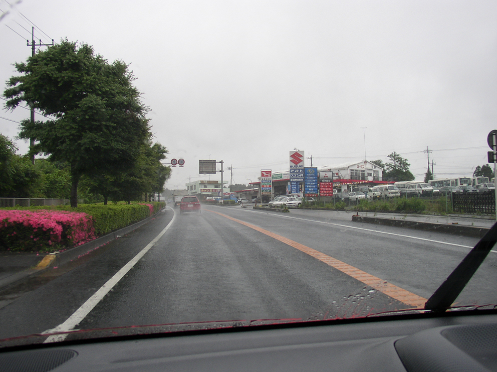 P6160030.jpg