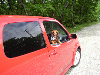 P6170087_thumb.png
