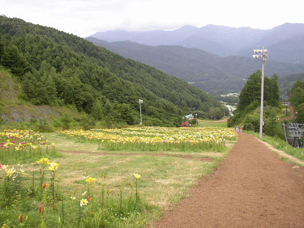 P8120031.jpg