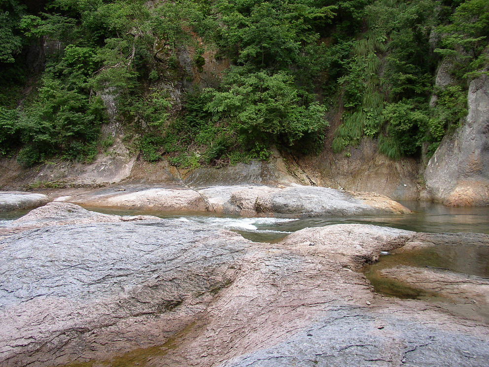 P8120039.jpg