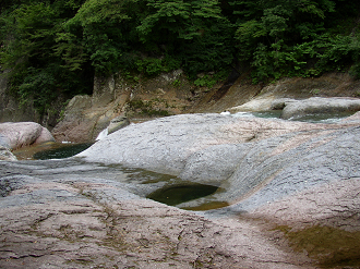 P8120040_thumb.png