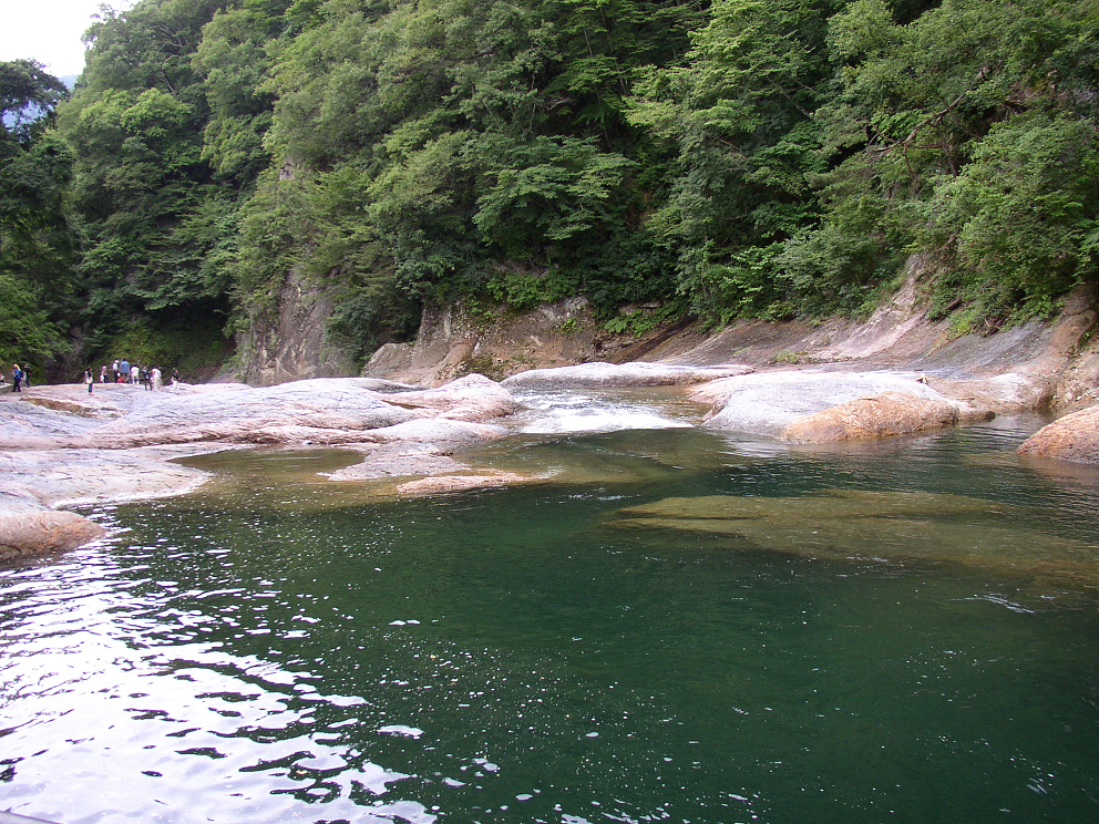P8120041.jpg