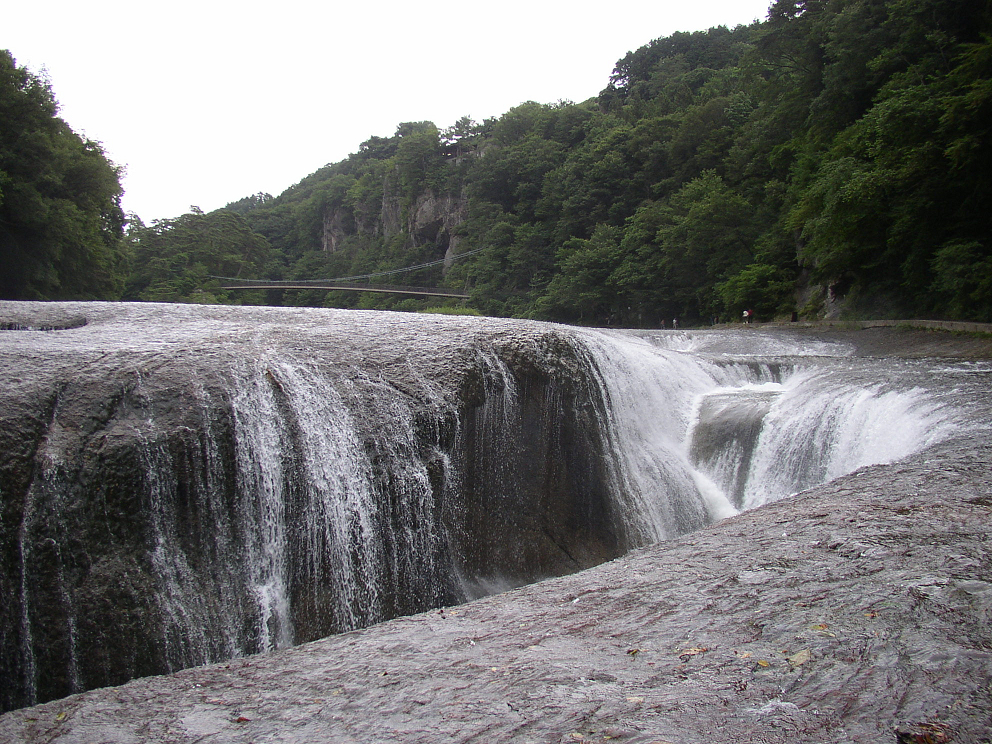 P8120044.jpg