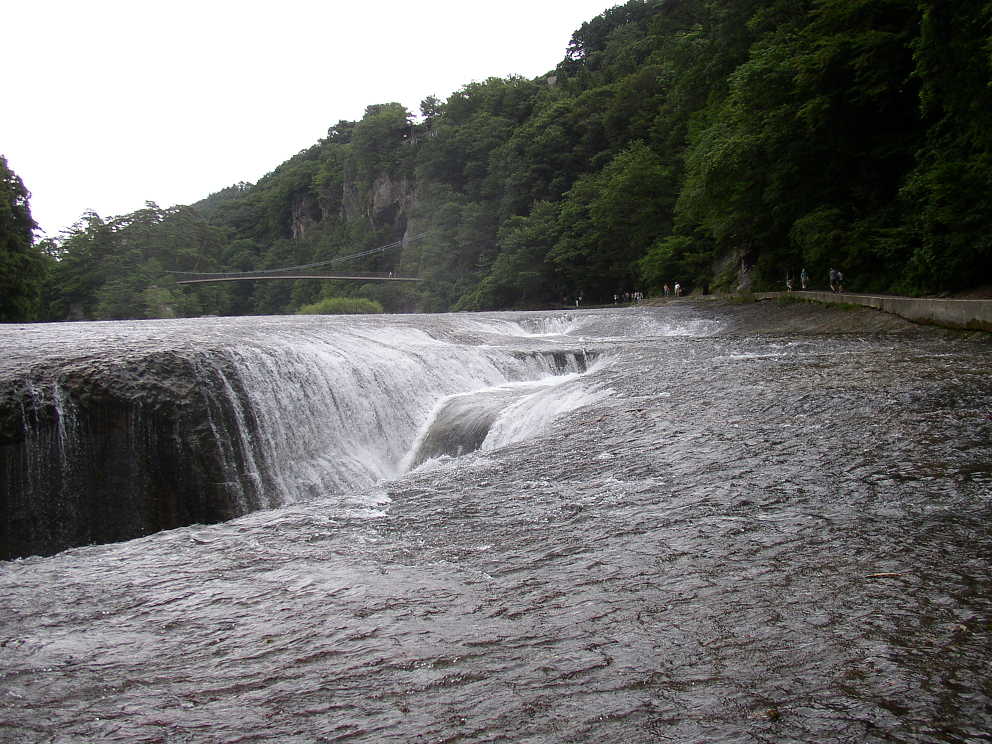 P8120046.jpg