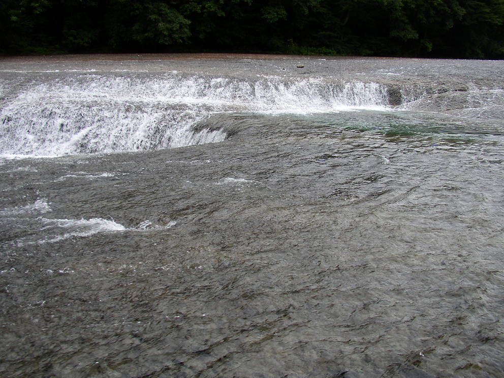 P8120050.jpg