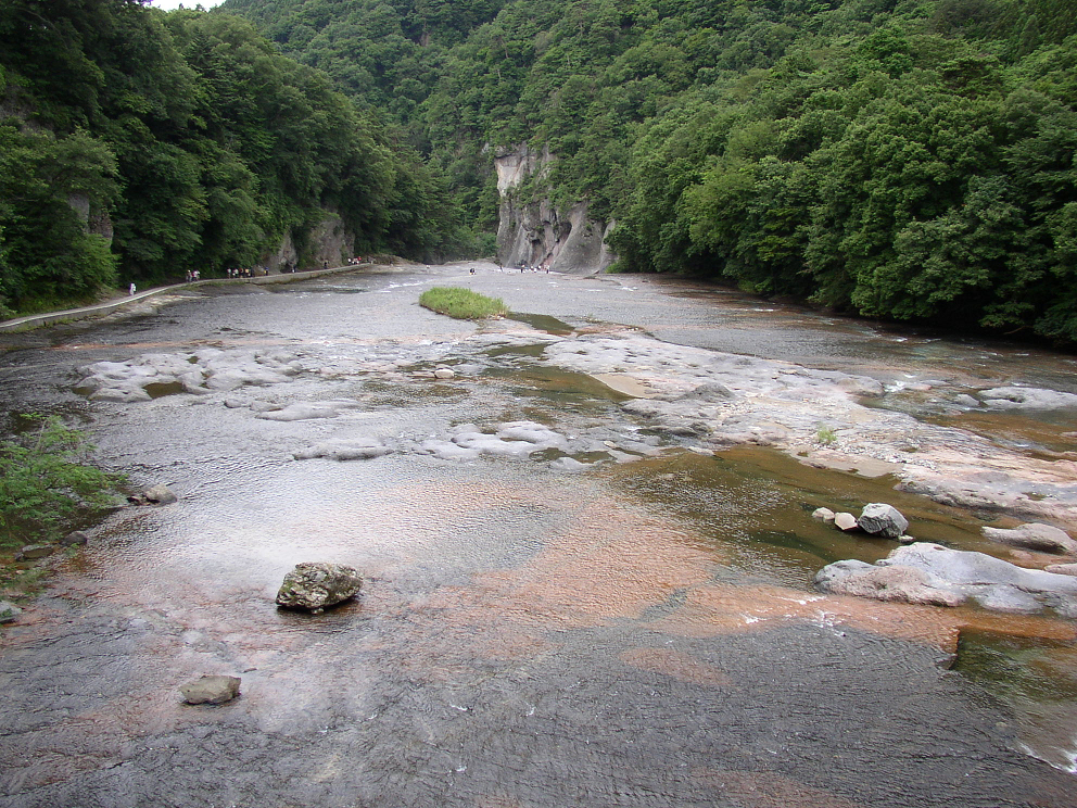 P8120053.jpg