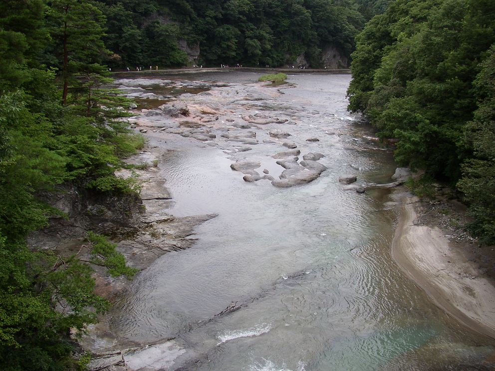 P8120056.jpg