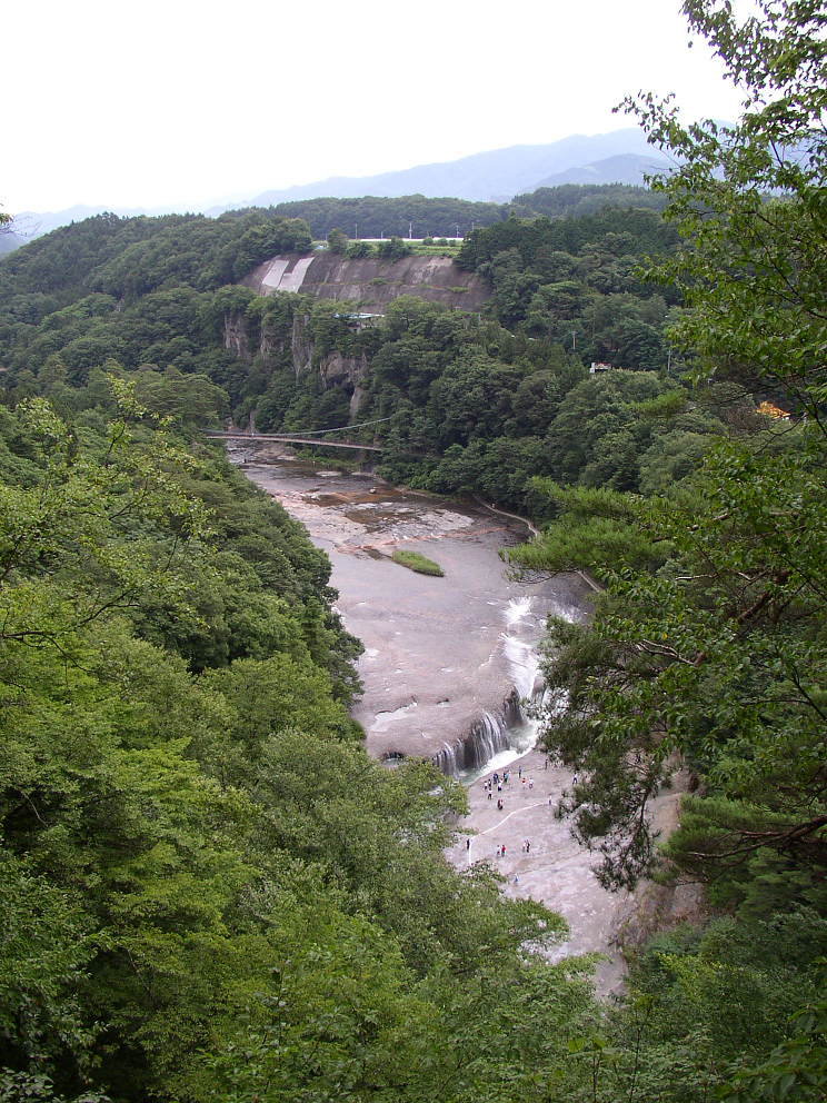 P8120059.jpg