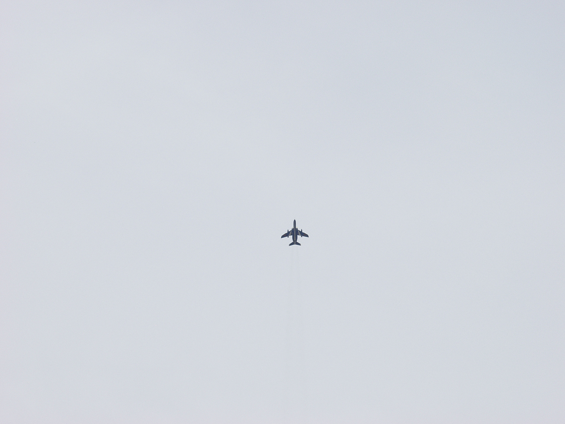 P4210685.jpg