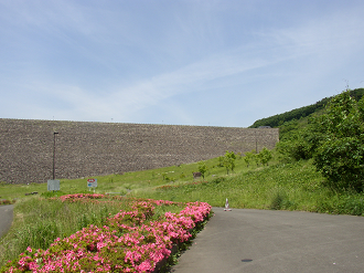 P6170028_thumb.png