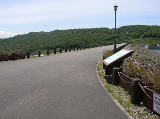 P6170037_thumb.png
