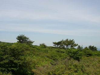 P6170062_thumb.png