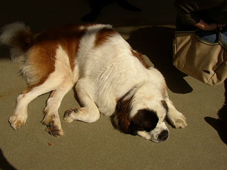 P9280014_thumb.png