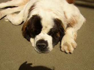 P9280016_thumb.png
