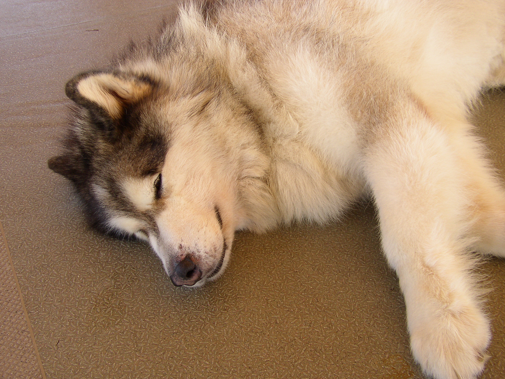 P9280017.jpg