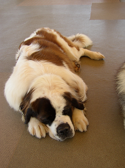 P9280022_thumb.png