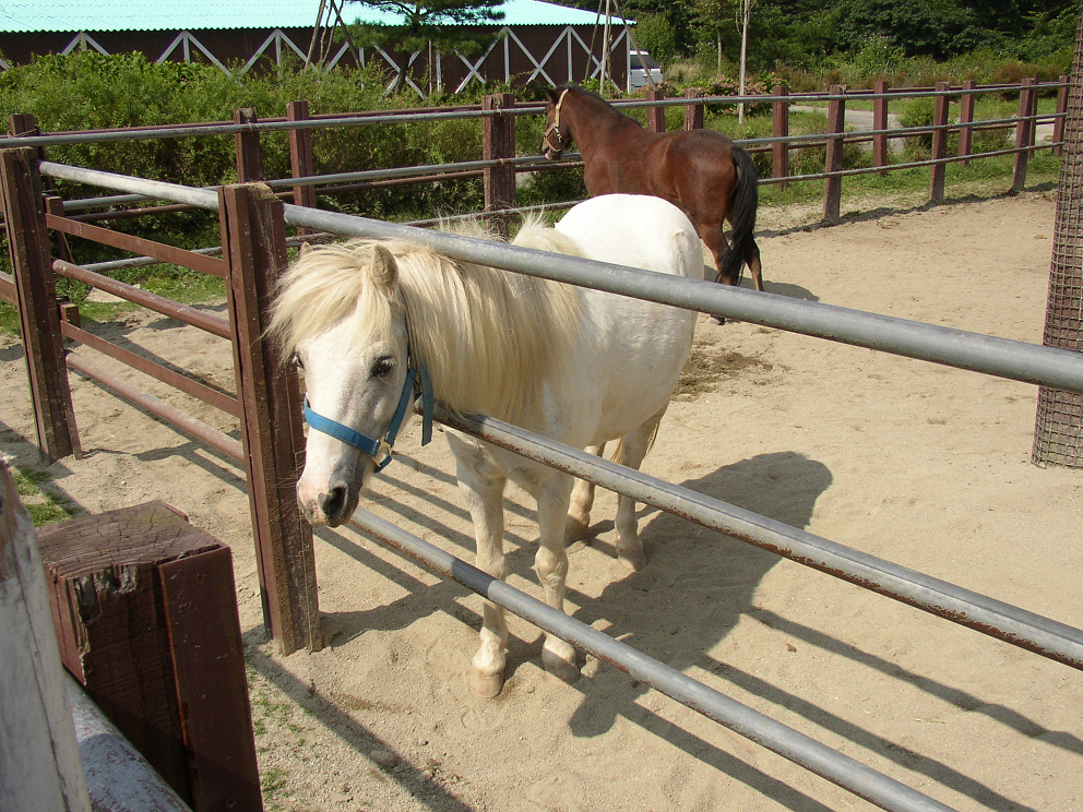 P9280056.jpg