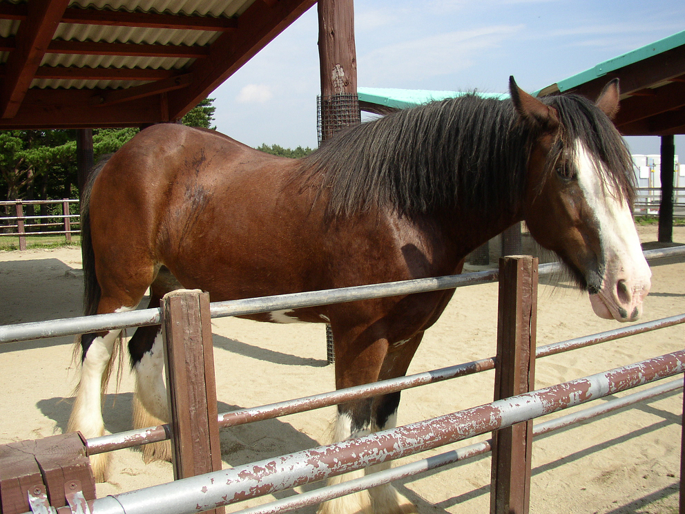P9280057.jpg