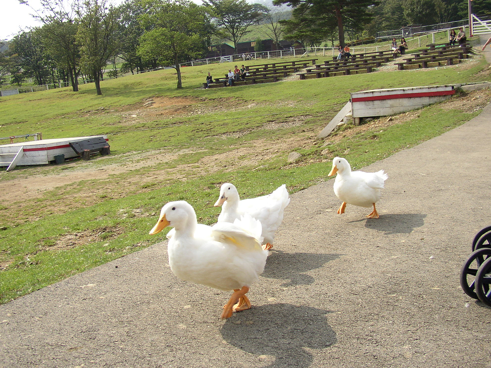 P9280069.jpg