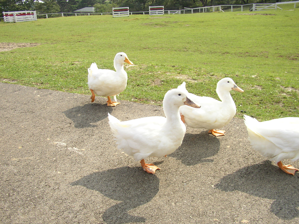 P9280070.jpg