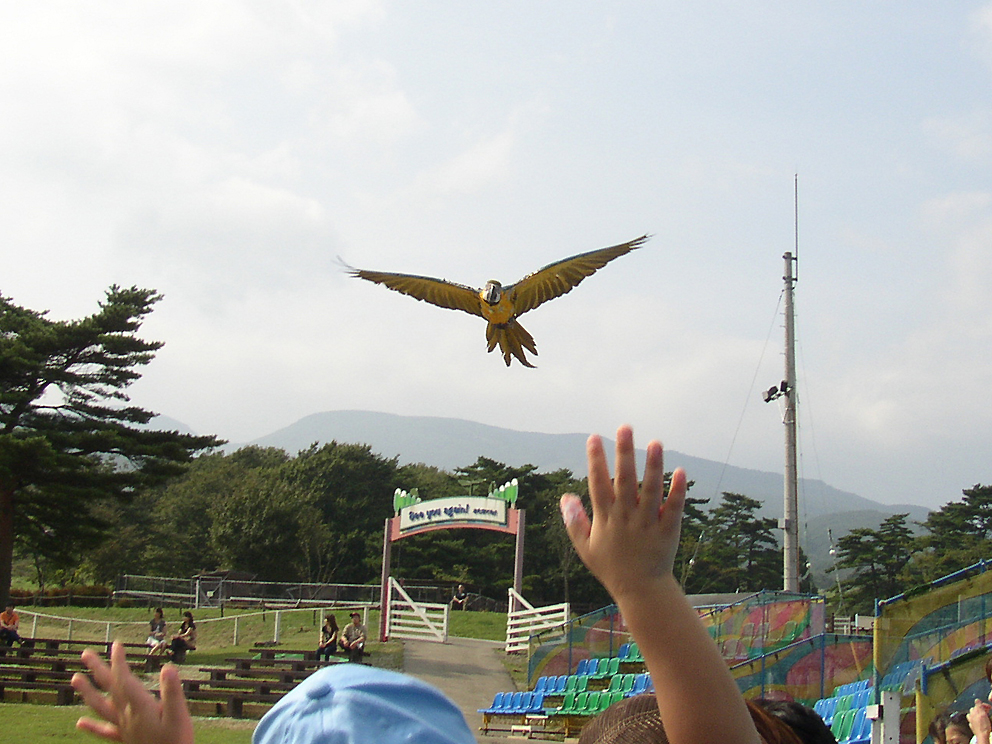 P9280071.jpg