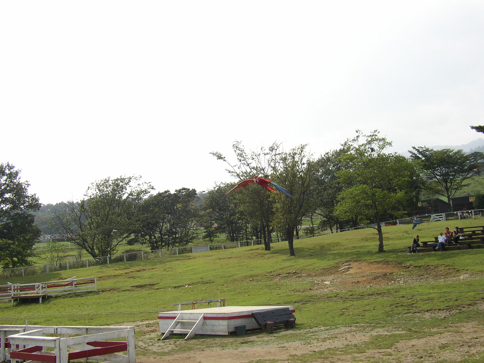 P9280072.jpg