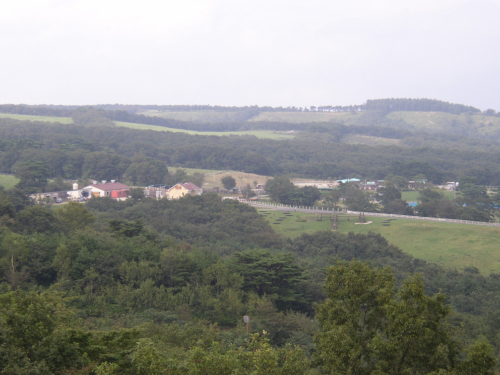 P9280078.jpg