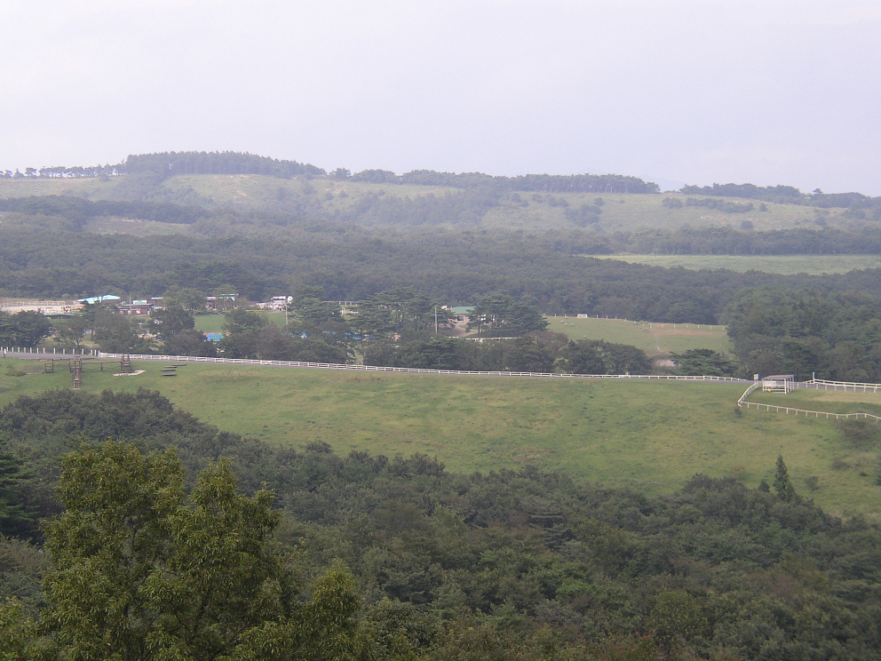 P9280079.jpg