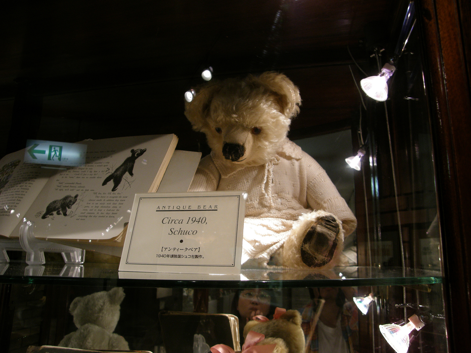 PA280264.jpg