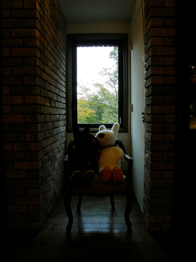 PA280290.jpg