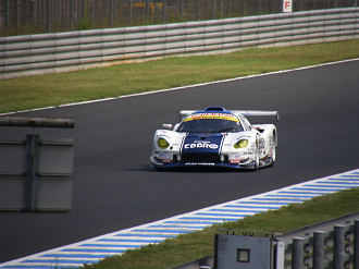 P9141079_thumb.png
