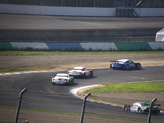 P9141126_thumb.png