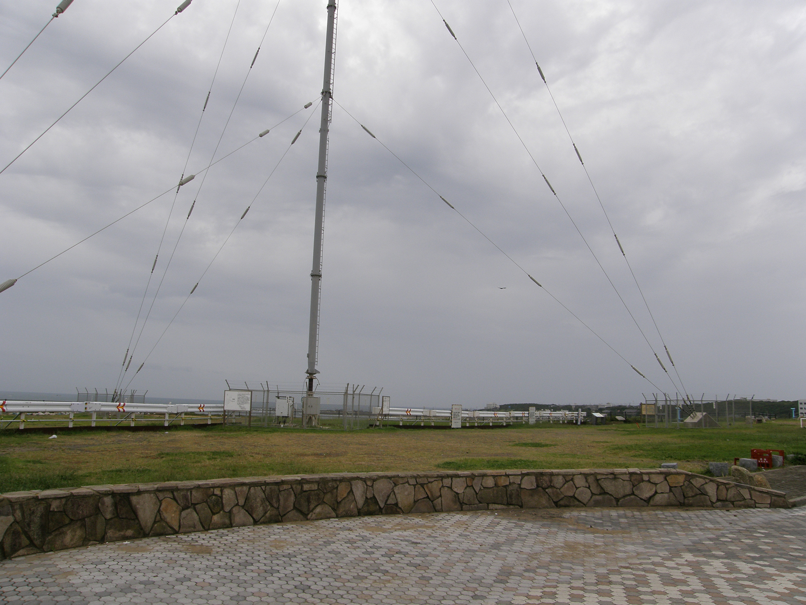 P9181535.jpg