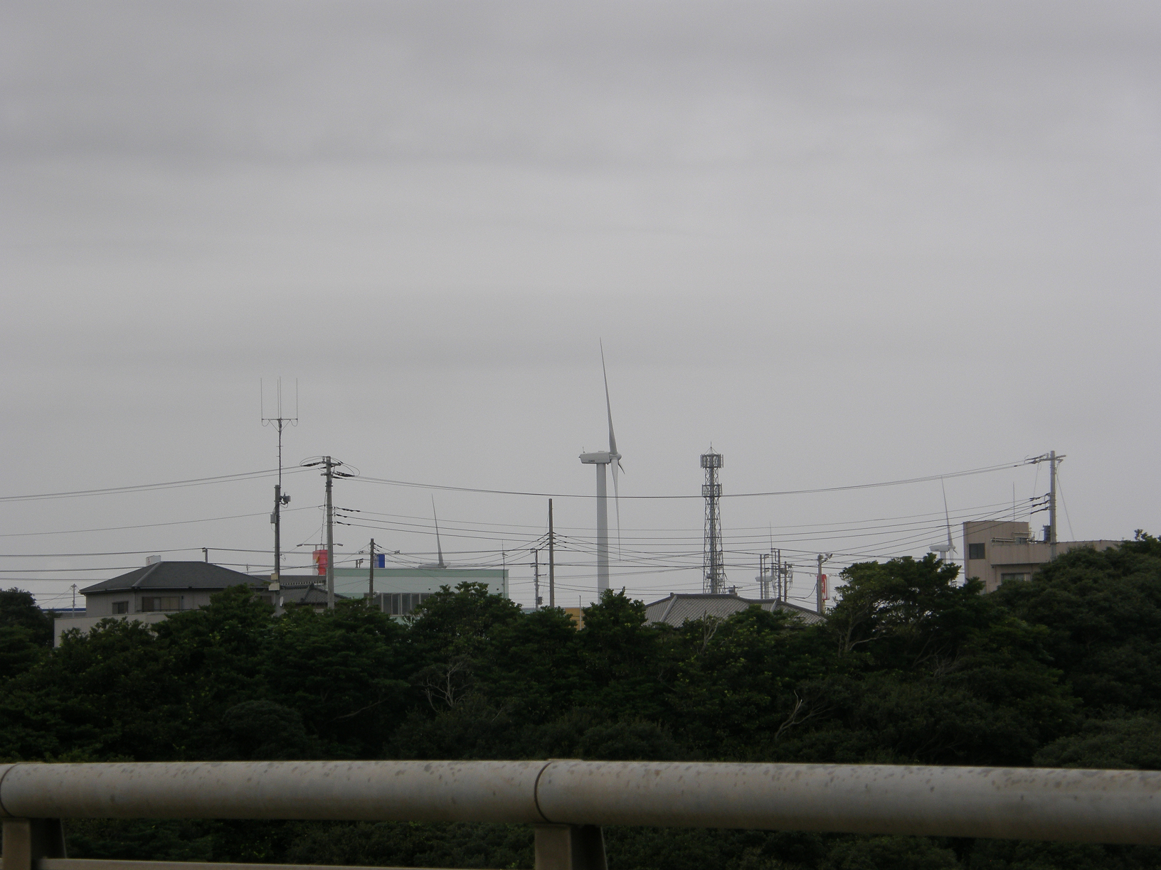 P9181571.jpg