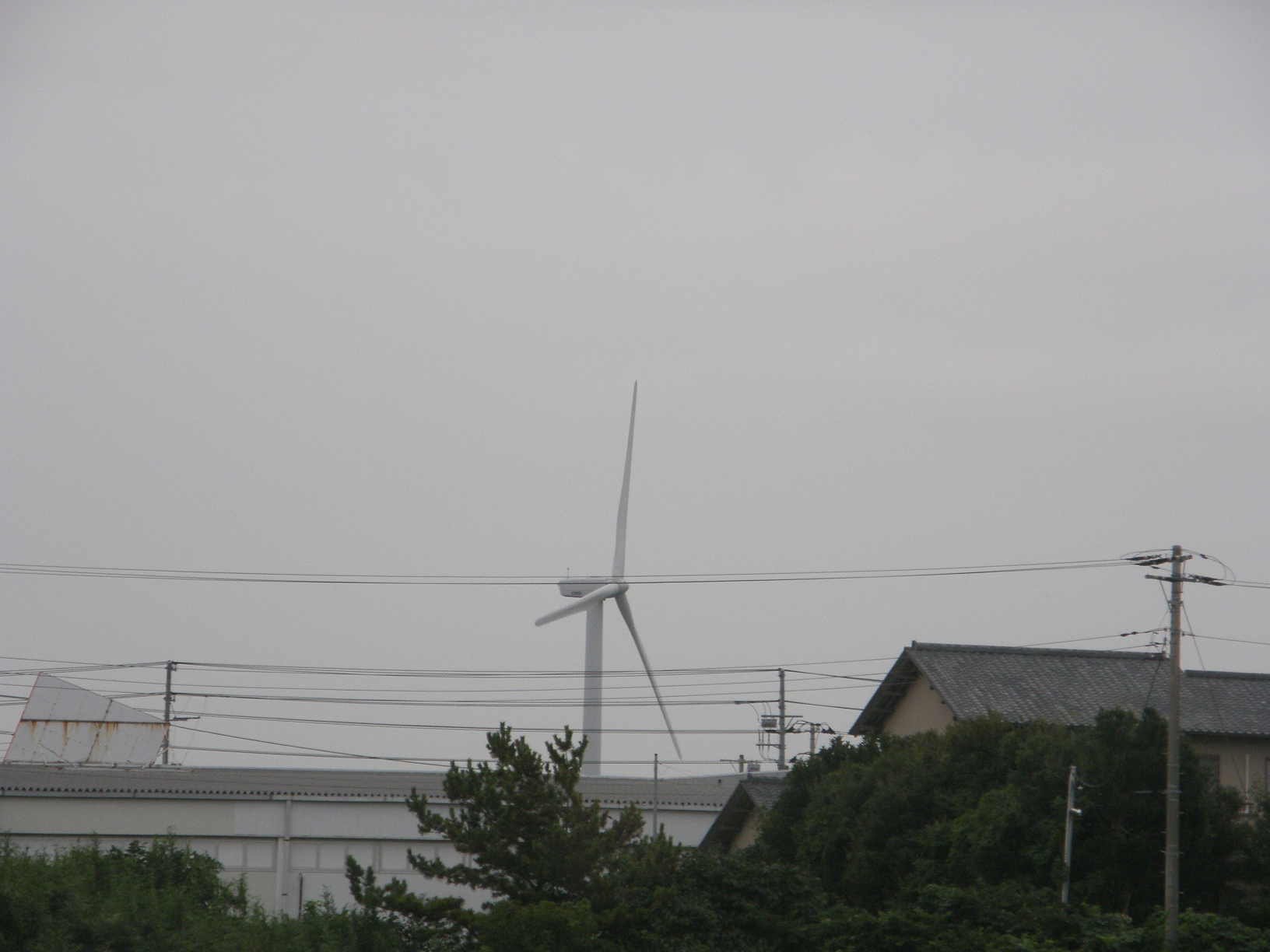 P9181572.jpg
