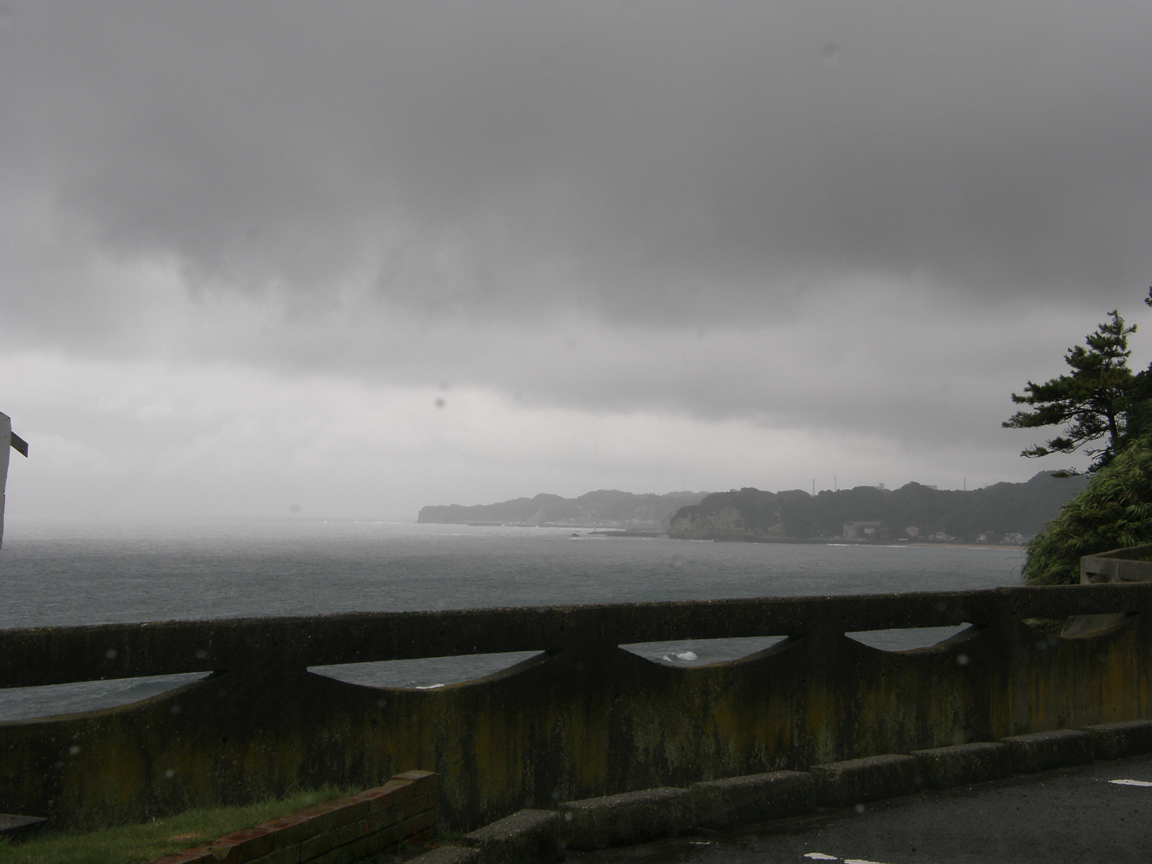 P9181576.jpg