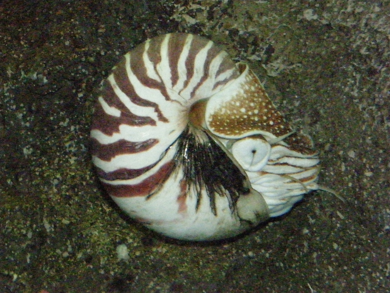 P9181650.jpg