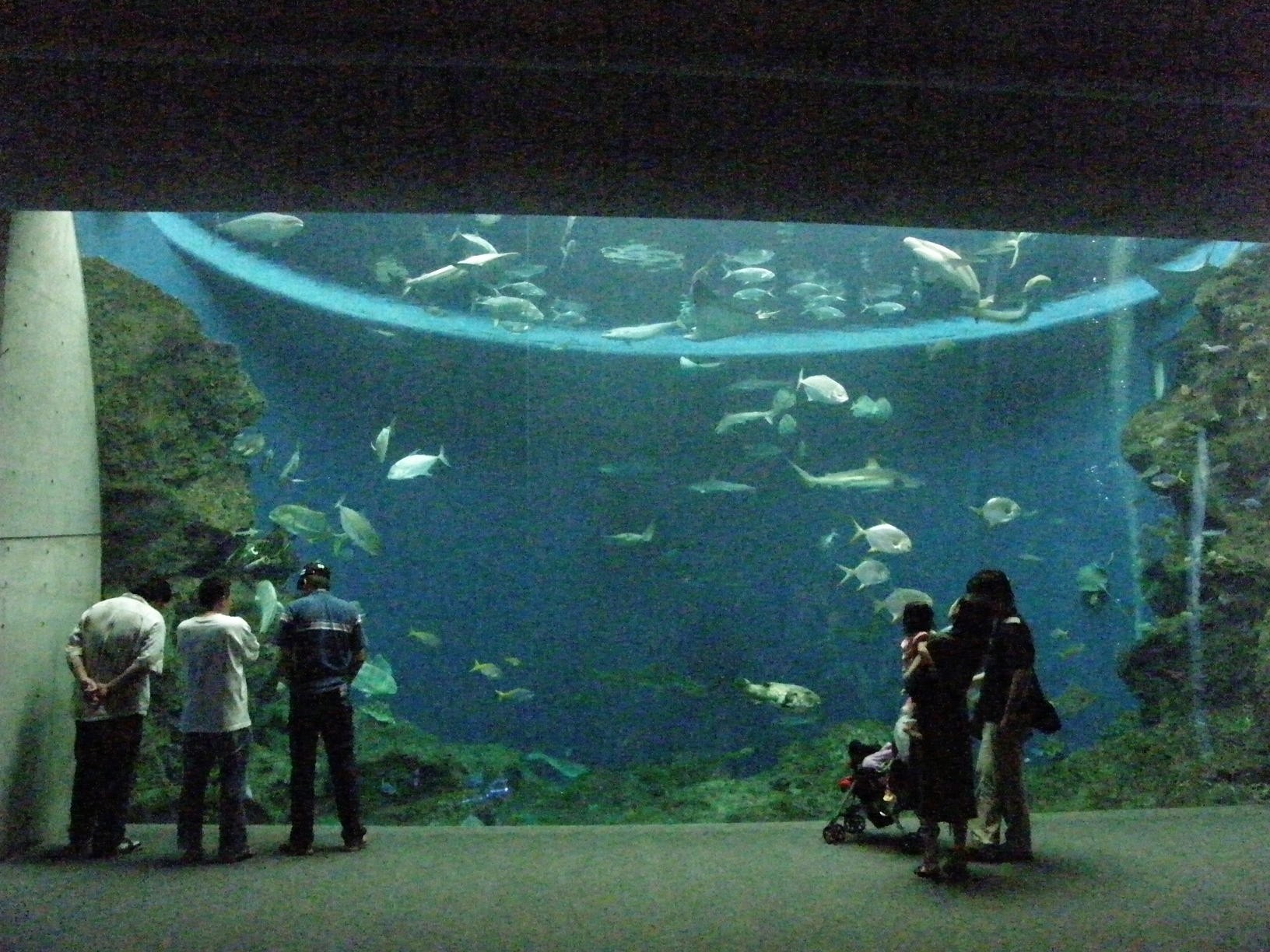 P9181668.jpg