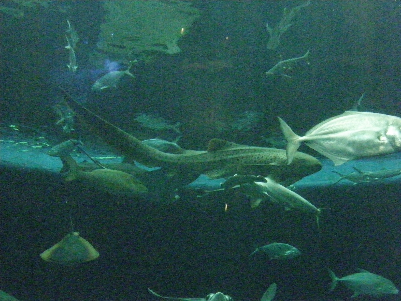 P9181670.jpg