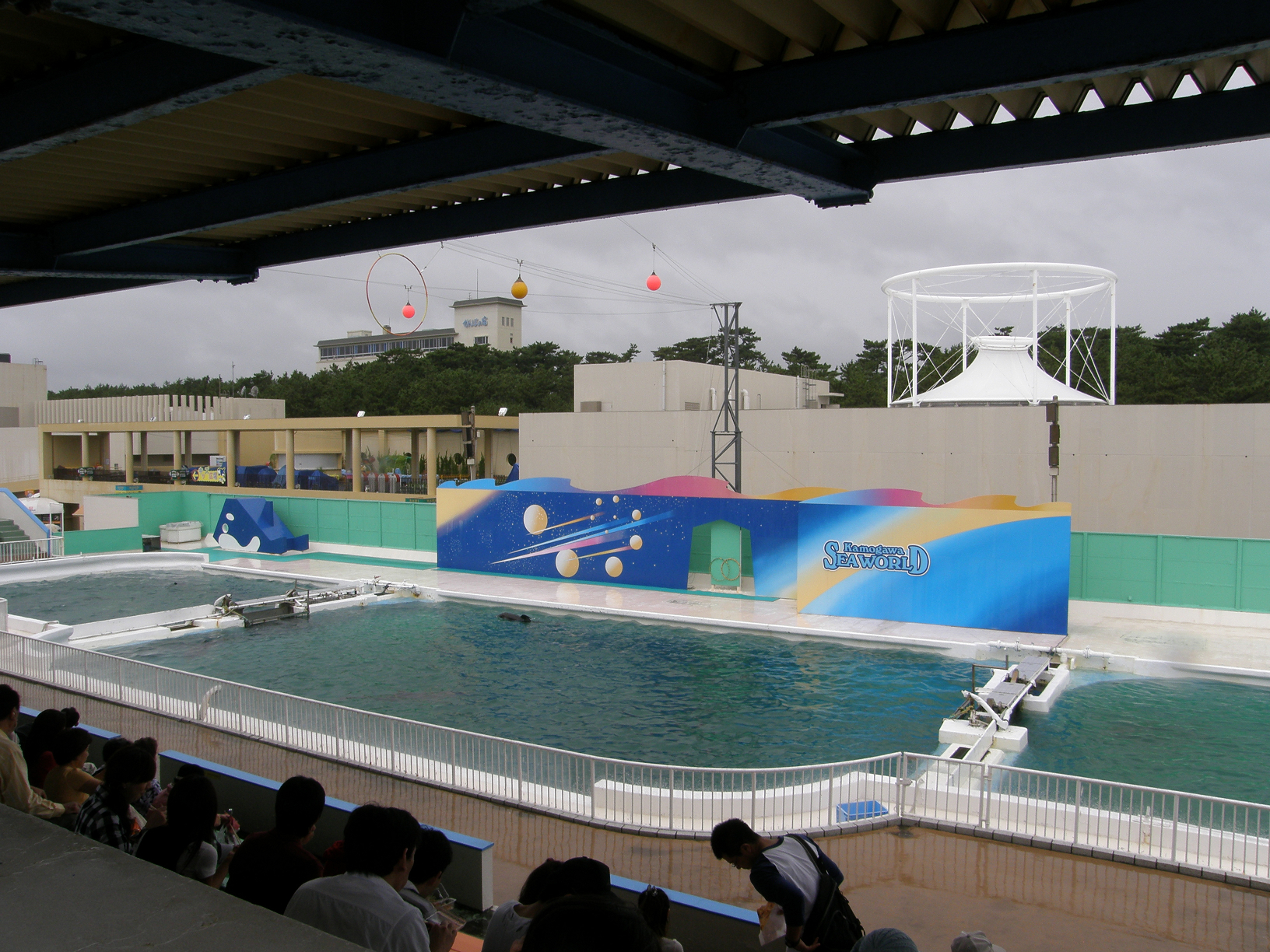 P9181676.jpg