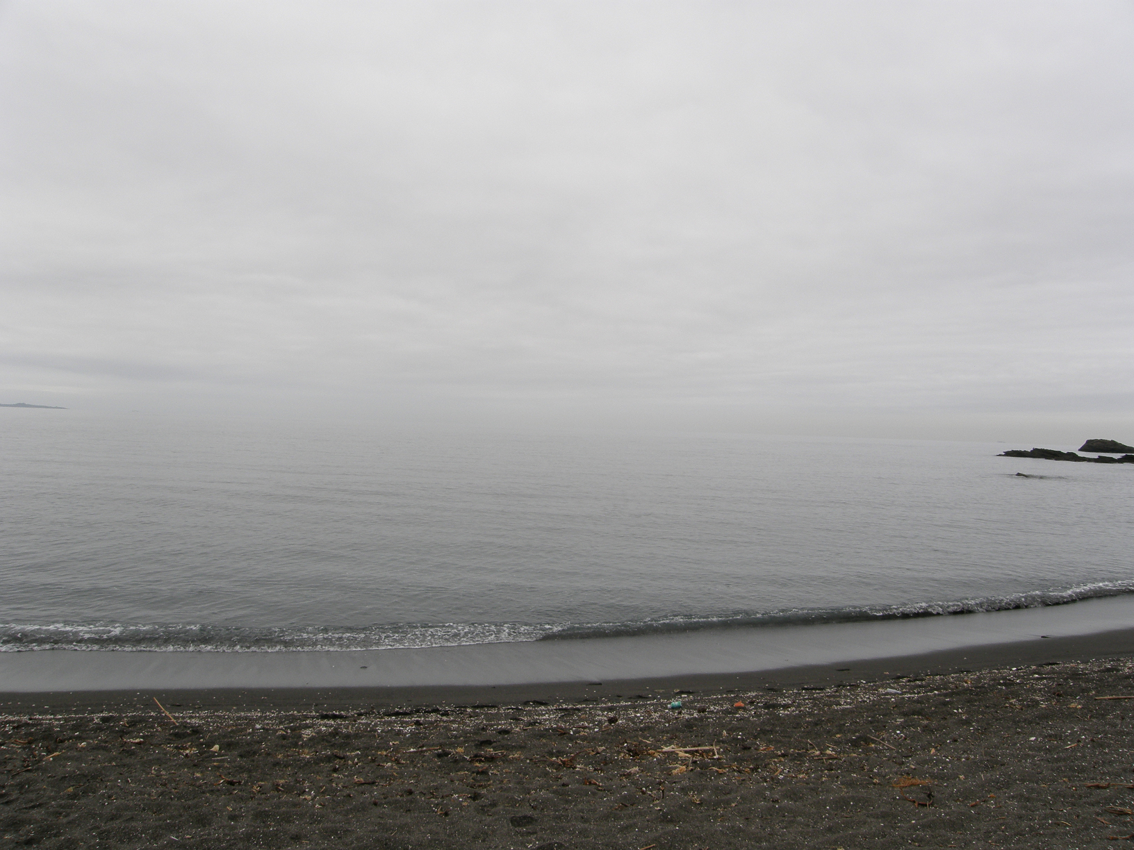 P9191837.jpg