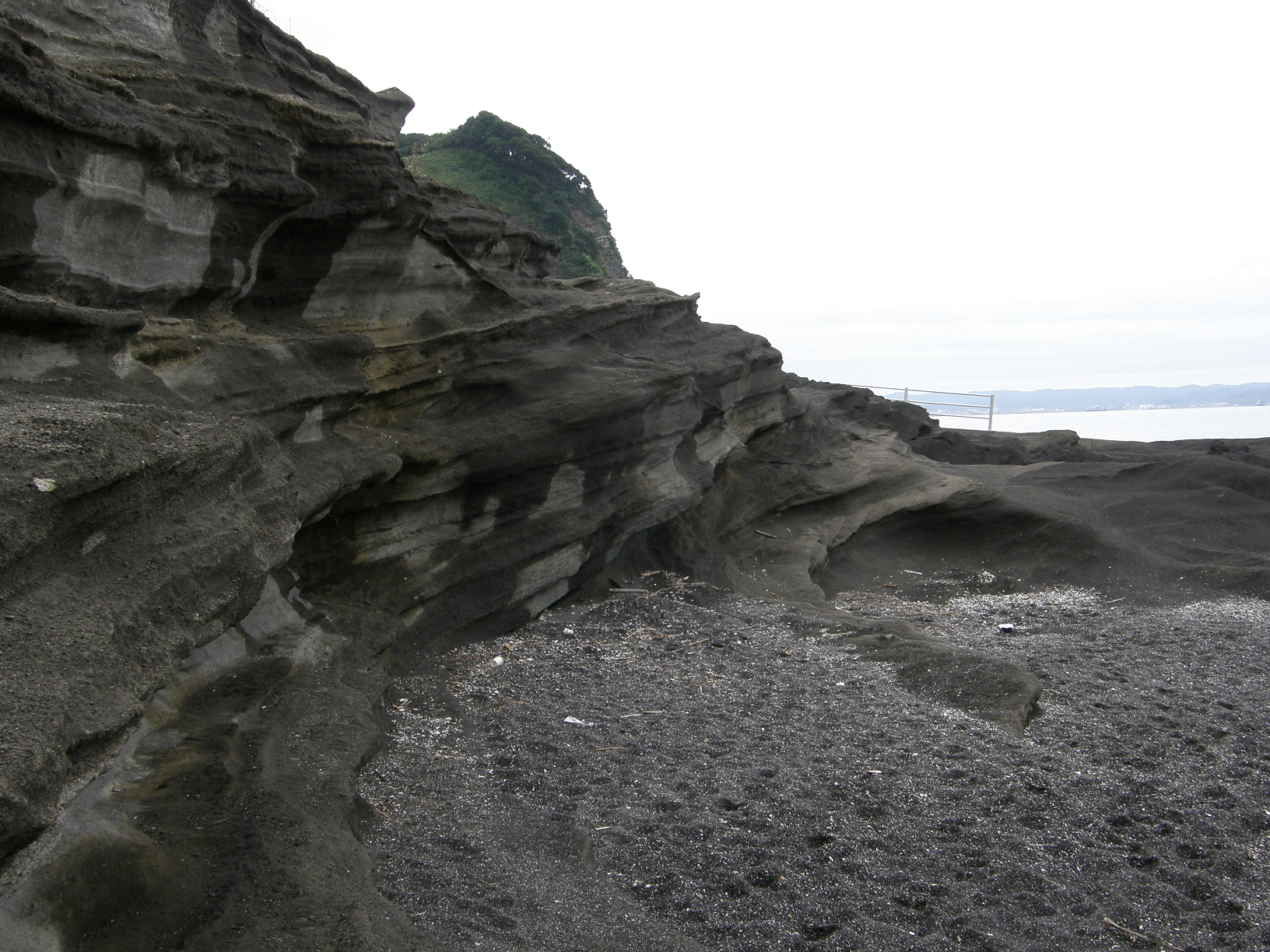 P9191851.jpg