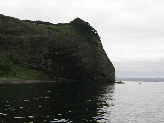 P9191854_thumb.png