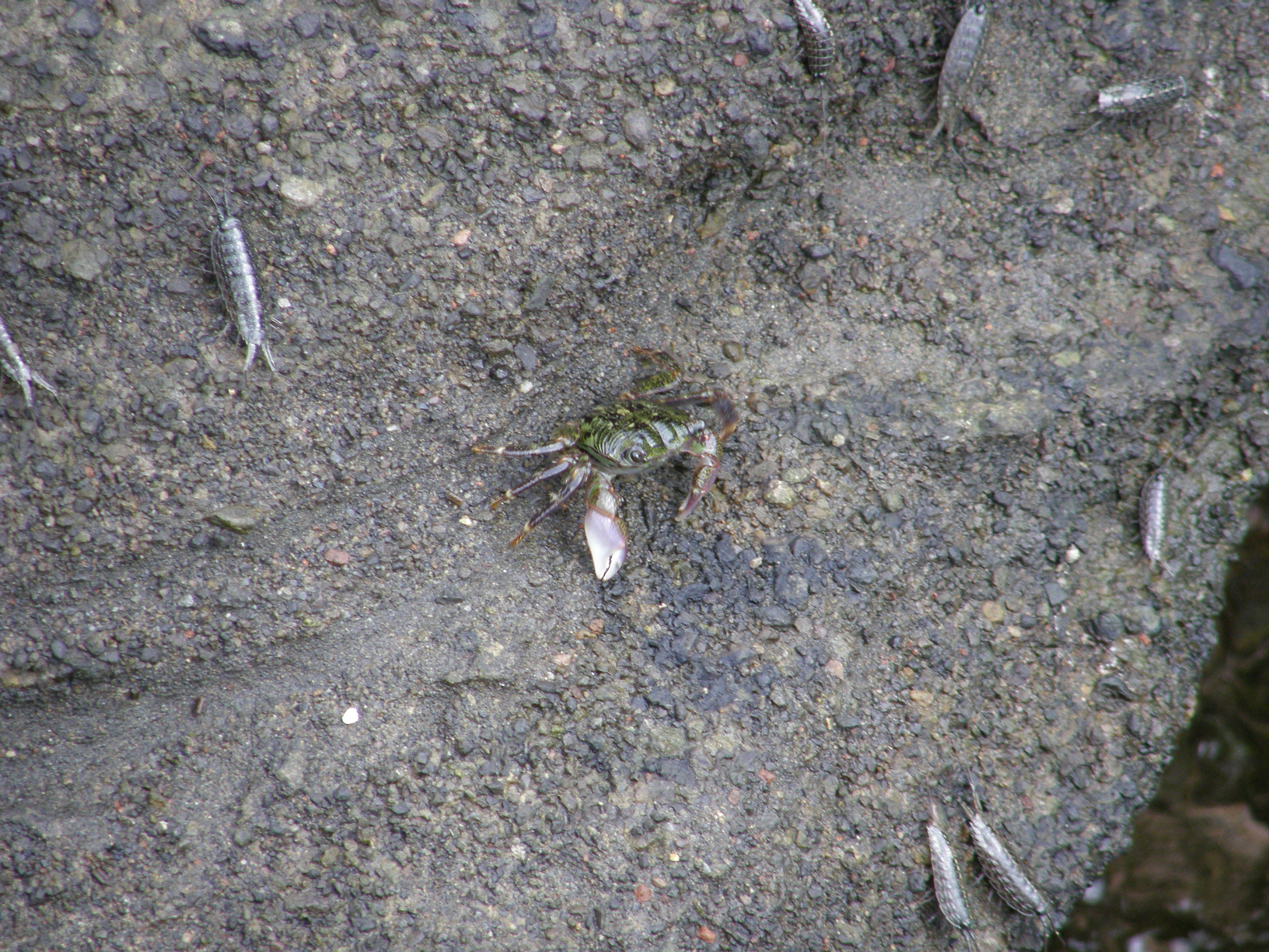 P9191858.jpg